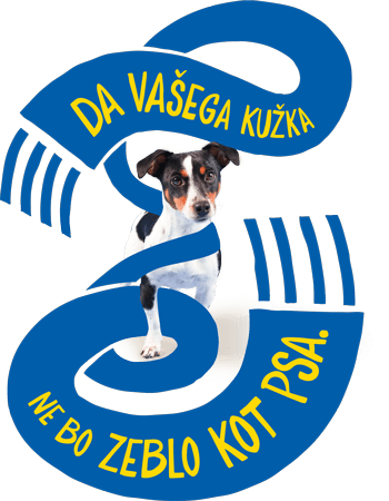 Slika s psom in tekstom 'Da vašega kužka ne bo zeblo kot psa.'